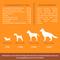 Show in main carousel: PointPet Advanced Hip & Joint Duck Flavor with Glucosamine, MSM & Chondroitin Senior Dog Supplement, 90 count slide 7 of 13