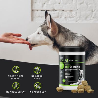 Show full view: PointPet Glucosamine Chondroitin Hip & Joint Dog Supplement, 120 count slide 4 of 12