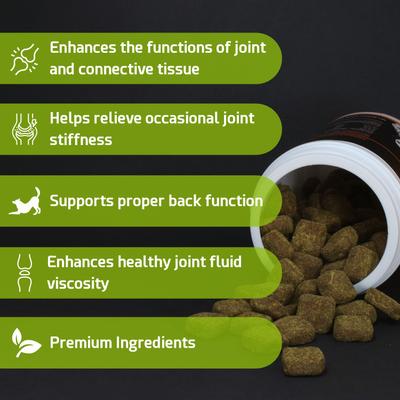 Show full view: PointPet Glucosamine Chondroitin Hip & Joint Dog Supplement, 120 count slide 5 of 12