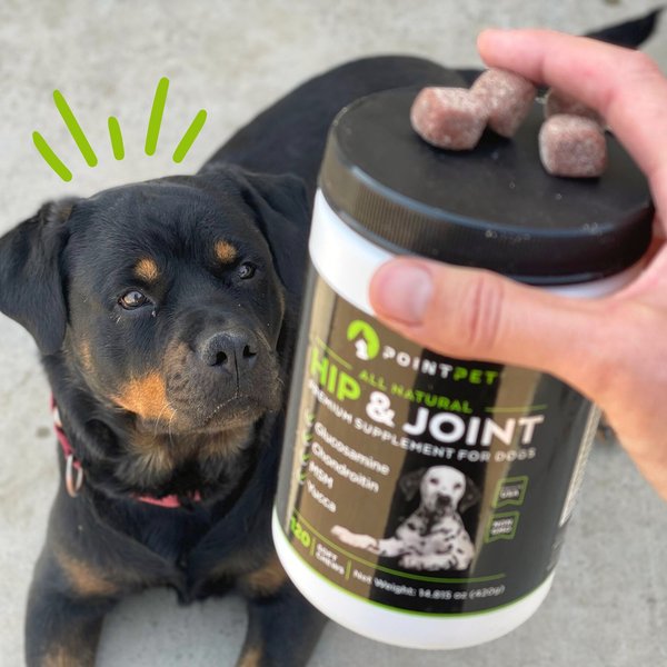 PointPet Glucosamine Chondroitin Hip & Joint Dog Supplement