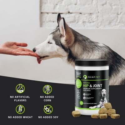 Show full view: PointPet Glucosamine Chondroitin Hip & Joint Dog Supplement, 90 count slide 5 of 13