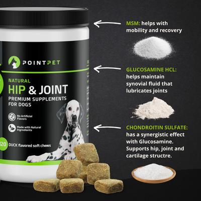Show full view: PointPet Glucosamine Chondroitin Hip & Joint Dog Supplement, 90 count slide 7 of 13