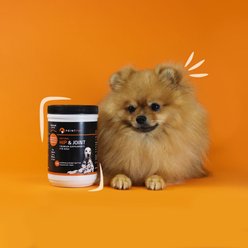 PointPet Glucosamine Peanut Butter & Pumpkin Flavored Hip & Joint Support Soft Chews Dog Supplement, 120 count slide 2 of 8