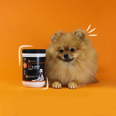 Show full view: PointPet Glucosamine Peanut Butter & Pumpkin Flavored Hip & Joint Support Soft Chews Dog Supplement, 120 count slide 3 of 10