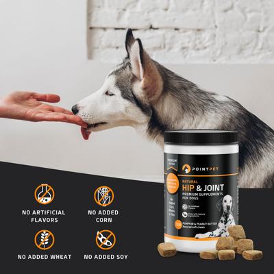 Show full view: PointPet Glucosamine Peanut Butter & Pumpkin Flavored Hip & Joint Support Soft Chews Dog Supplement, 120 count slide 4 of 10