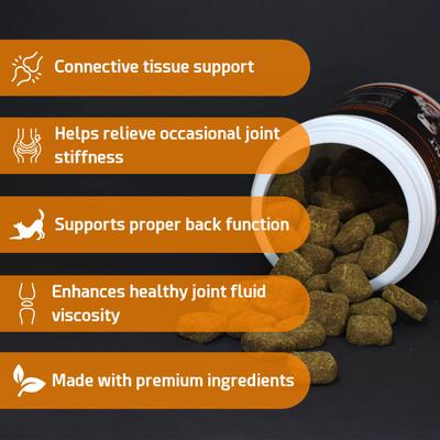 Show full view: PointPet Glucosamine Peanut Butter & Pumpkin Flavored Hip & Joint Support Soft Chews Dog Supplement, 120 count slide 6 of 10
