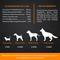 Show in main carousel: PointPet Glucosamine Peanut Butter & Pumpkin Flavored Hip & Joint Support Soft Chews Dog Supplement, 120 count slide 8 of 10