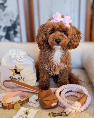 Show full view: PoisePup Bella Rose Leather Poop Bag Dispenser, Light Pink slide 2 of 3