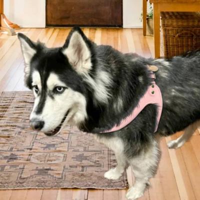 Show full view: PoisePup Bella Rose Leather Step In Dog Harness, Light Pink, Large: 23.6 to 25.6-in chest slide 2 of 3
