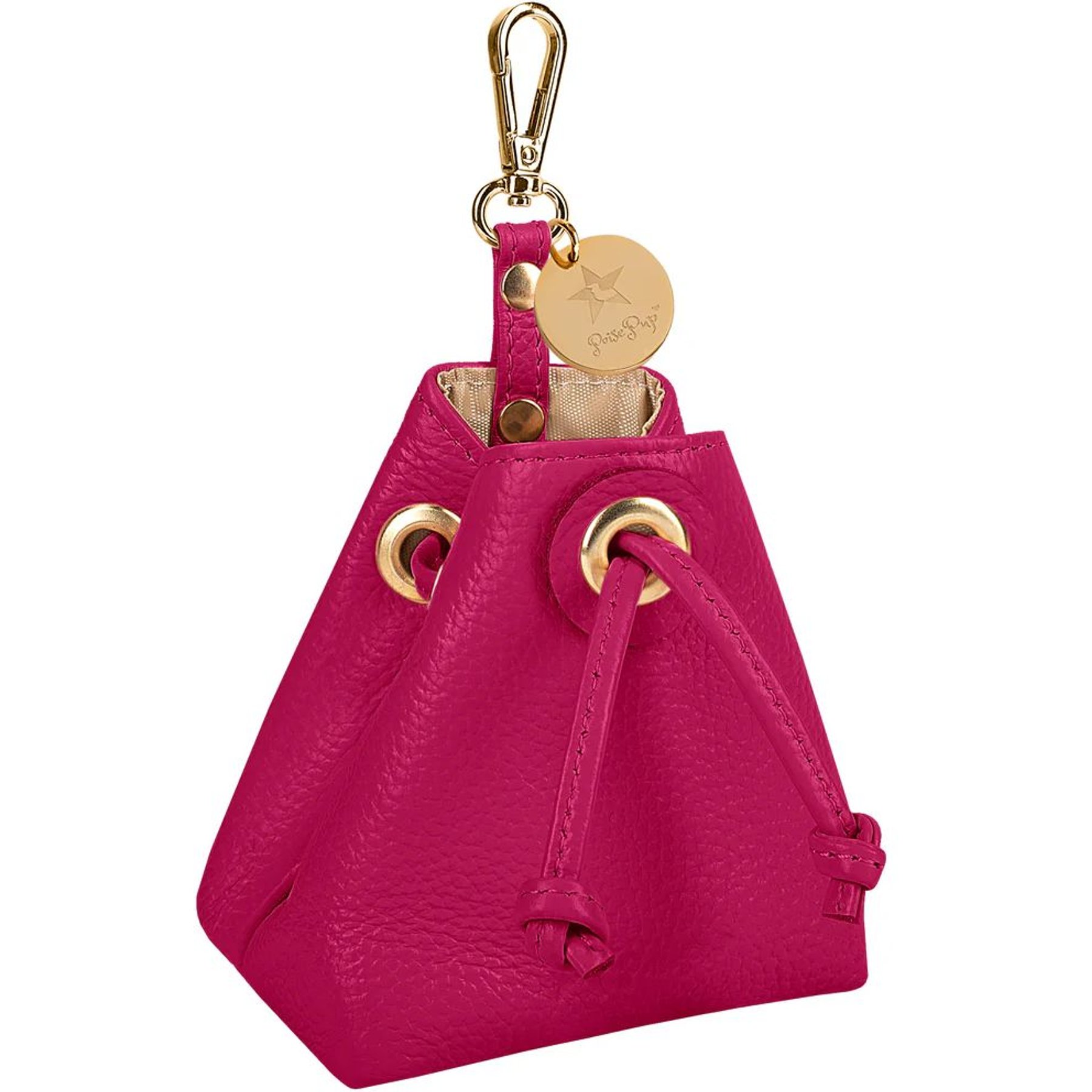 PoisePup Candy Swirl Leash Attachment Dog Treat Bag, Pink