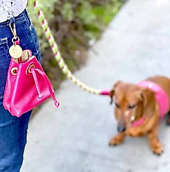 PoisePup Candy Swirl Leash Attachment Dog Treat Bag, Pink slide 2 of 3