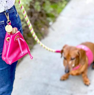 Show full view: PoisePup Candy Swirl Leash Attachment Dog Treat Bag, Pink slide 2 of 3