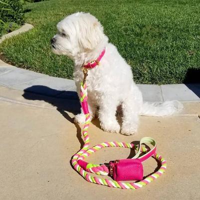 Show full view: PoisePup Candy Swirl Leather Handle Rope Dog Leash, Pink/Green, 5-ft long, 1/2-in wide slide 2 of 3