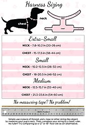 PoisePup Dark Night Leather Basic Dog Harness, Black, Medium: 21.3 to 23.6-in chest slide 2 of 3