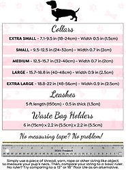 PoisePup Dark Night Leather Handle Rope Dog Leash, Black, 5-ft long, 1/2-in wide slide 2 of 3