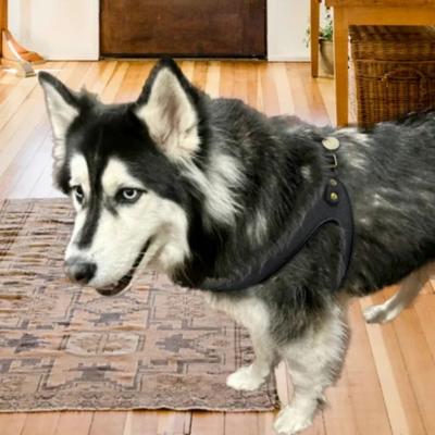 Show full view: PoisePup Dark Night Leather Step In Dog Harness, Black, X-Large: 27.5 to 30-in chest slide 2 of 3