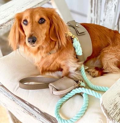 Show full view: PoisePup Desert Mint Leather Basic Dog Harness, Grey, Medium: 21.3 to 23.6-in chest slide 3 of 4