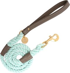 PoisePup Desert Mint Leather Handle Rope Dog Leash, Grey/Light Green, 5-ft long, 1/2-in wide