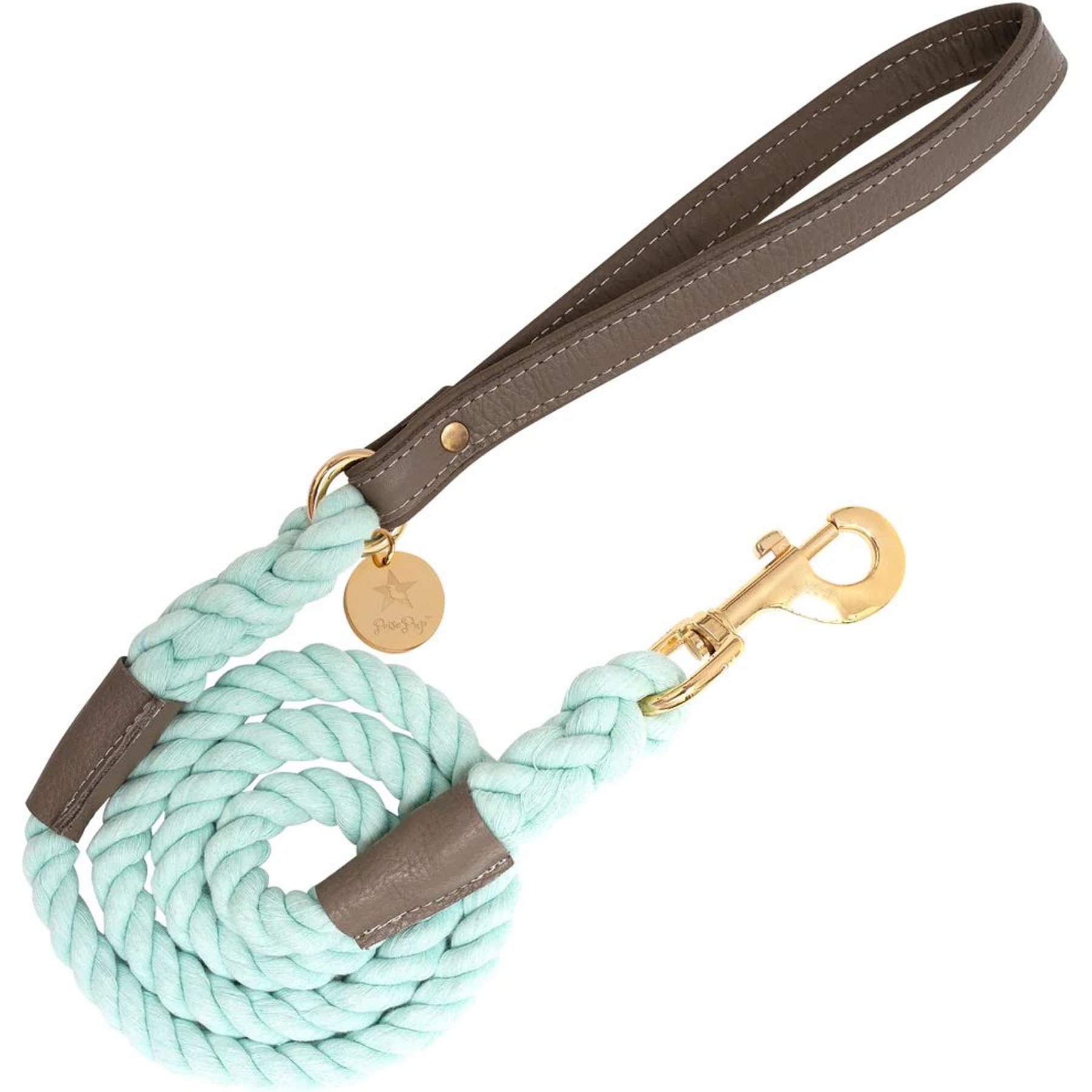 PoisePup Desert Mint Leather Handle Rope Dog Leash, Grey/Light Green, 5-ft long, 1/2-in wide