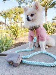 PoisePup Desert Mint Leather Poop Bag Dispenser, Grey slide 2 of 3
