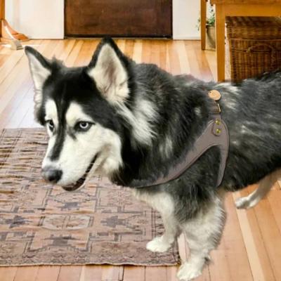 Show full view: PoisePup Desert Mint Leather Step In Dog Harness, Grey, X-Large: 27.5 to 30-in chest slide 2 of 3