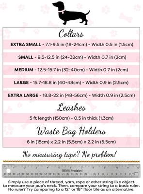 Show full view: PoisePup Hot Marine Leather Standard Dog Collar, White/Blue, X-Large: 18.8 to 22-in neck, 0.9-in wide slide 3 of 3