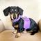 Show in main carousel: PoisePup Lavish Lavender Leather Basic Dog Harness, Purple, Medium: 21.3 to 23.6-in chest slide 2 of 3