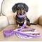 Show in main carousel: PoisePup Lavish Lavender Leather Handle Rope Dog Leash, Purple/Lilac, 5-ft long, 1/2-in wide slide 3 of 4