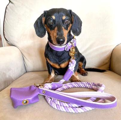 Show full view: PoisePup Lavish Lavender Leather Standard Dog Collar, Purple/Lilac, Medium: 12.5 to 15.7-in neck, 3/4-in wide slide 2 of 3