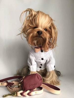 Show full view: PoisePup Luscious Bow Leather Poop Bag Dispenser, Burgundy slide 2 of 3