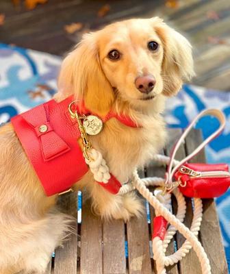Show full view: PoisePup Melting Hearts Leather Basic Dog Harness, Red, Medium: 21.3 to 23.6-in chest slide 2 of 3
