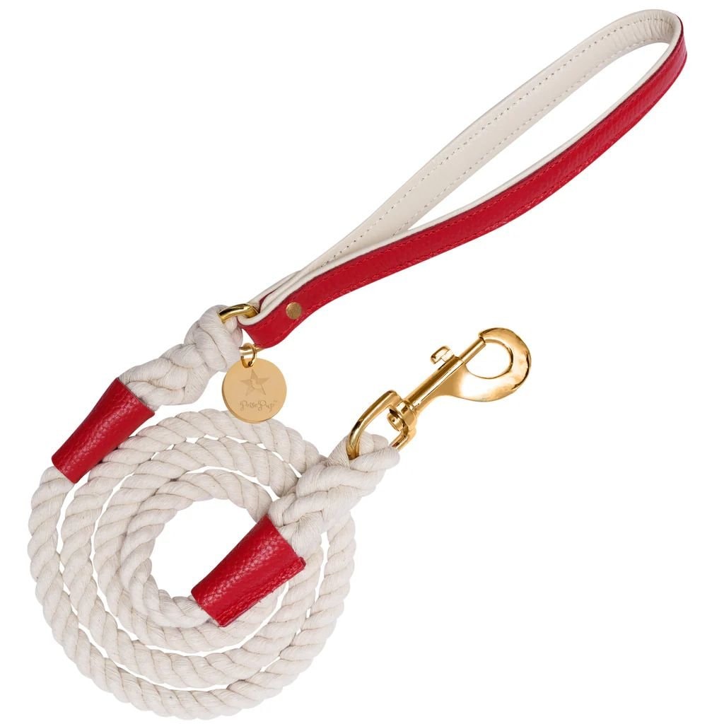 Melting Hearts Leather Handle Rope Dog Leash