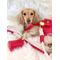 Show in main carousel: PoisePup Melting Hearts Leather Handle Rope Dog Leash, White/Red, 5-ft long, 1/2-in wide slide 2 of 3
