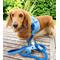 Show in main carousel: PoisePup Ocean Vibes Leather Basic Dog Harness, Blue, X-Small: 15 to 17.5-in chest slide 3 of 4
