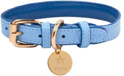 PoisePup Ocean Vibes Leather Standard Dog Collar, Blue, Small: 9.5 to 12.5-in neck, 3/4-in wide