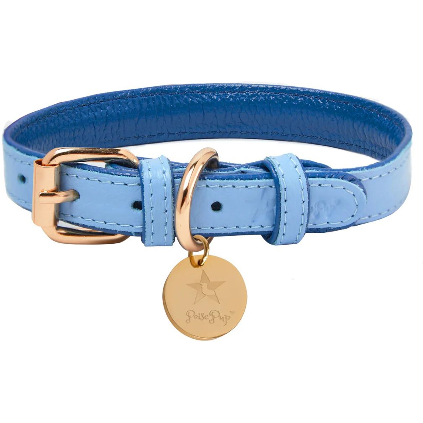PoisePup Ocean Vibes Leather Standard Dog Collar, Blue, X-Small: 7.1 to 9.5-in neck, 1/2-in wide