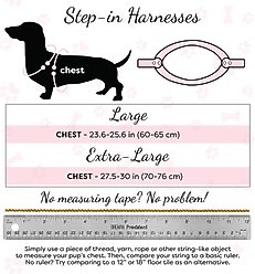 PoisePup Ocean Vibes Leather Step In Dog Harness, Blue, Large: 23.6 to 25.6-in chest slide 2 of 3