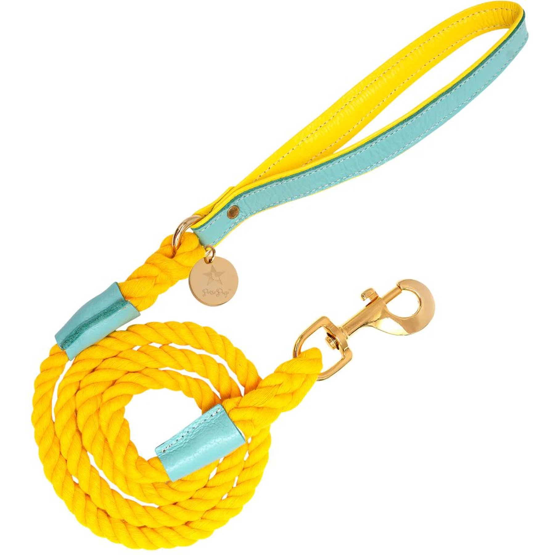 PoisePup Sunshine Babe Leather Handle Rope Dog Leash, Light Blue/Yellow, 5-ft long, 1/2-in wide