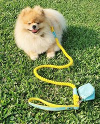 PoisePup Sunshine Babe Leather Handle Rope Dog Leash, Light Blue/Yellow, 5-ft long, 1/2-in wide slide 2 of 3