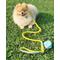 Show in main carousel: PoisePup Sunshine Babe Leather Handle Rope Dog Leash, Light Blue/Yellow, 5-ft long, 1/2-in wide slide 2 of 3