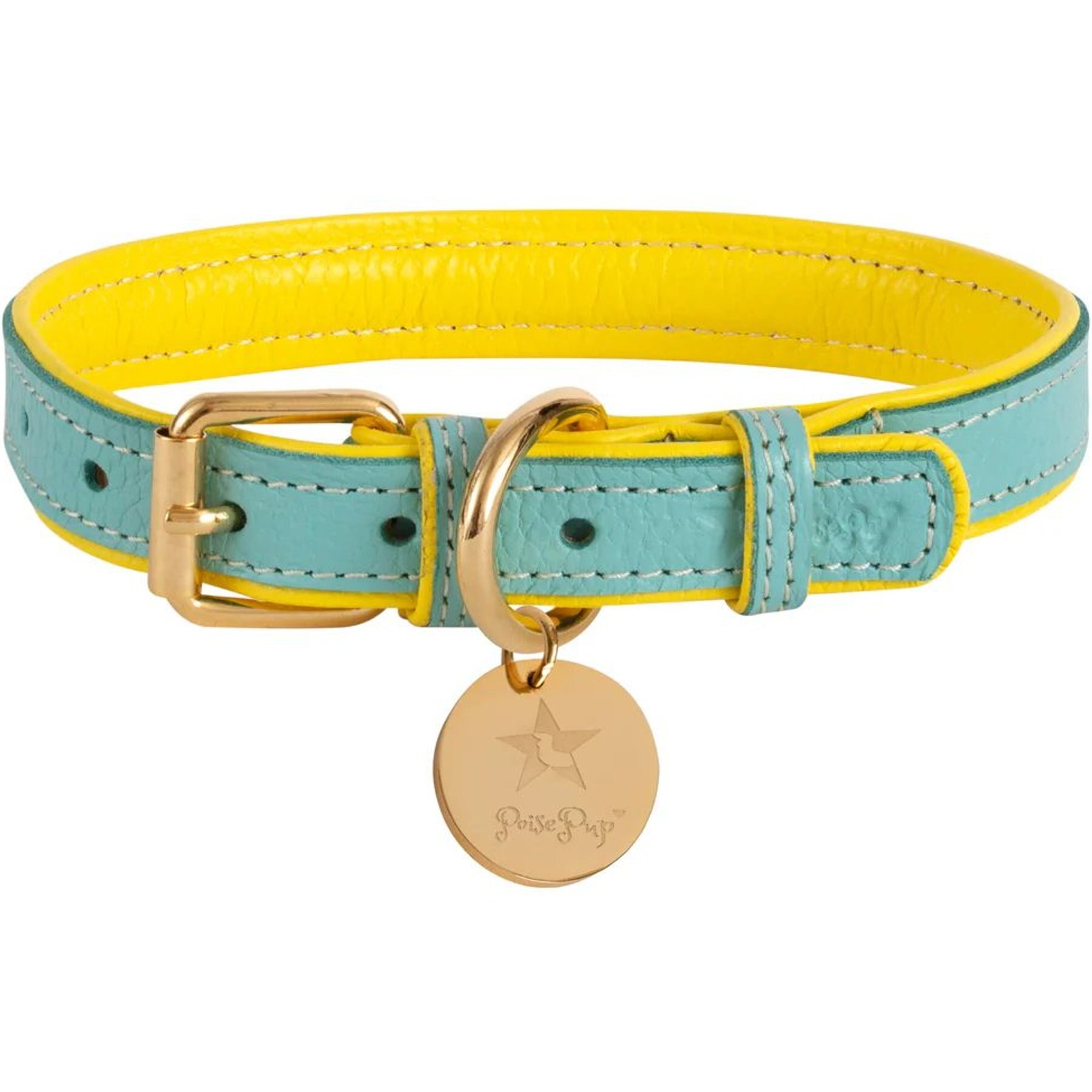 PoisePup Sunshine Babe Leather Standard Dog Collar, Light Blue/Yellow, Large: 15.7 to 18.8-in neck, 0.9-in wide