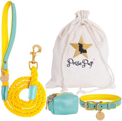 Show full view: PoisePup Sunshine Babe Leather Standard Dog Collar, Light Blue/Yellow, Medium: 12.5 to 15.7-in neck, 3/4-in wide slide 2 of 3