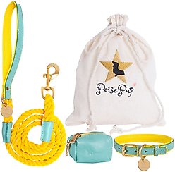 PoisePup Sunshine Babe Leather Standard Dog Collar, Light Blue/Yellow, Small: 9.5 to 12.5-in neck, 3/4-in wide slide 2 of 3