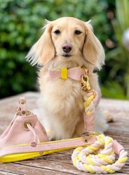 PoisePup Sweetest Thing Leather Dog Bow Tie, Light Pink/Yellow, Large slide 2 of 3