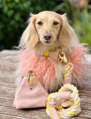 Show full view: PoisePup Sweetest Thing Leather Handle Rope Dog Leash, Light Pink/Yellow, 5-ft long, 1/2-in wide slide 3 of 4