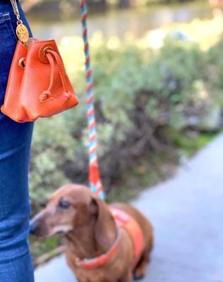 Show full view: PoisePup Vibrant Sunset Leash Attachment Dog Treat Bag, Orange slide 3 of 4