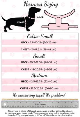 Show full view: PoisePup Wildest One Leather Basic Dog Harness, Leopard, X-Small: 15 to 17.5-in chest slide 3 of 3