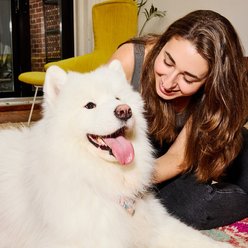 Poke's Bac'n Me Crazy Training Bites Dog Treats, 6-oz bag slide 2 of 7