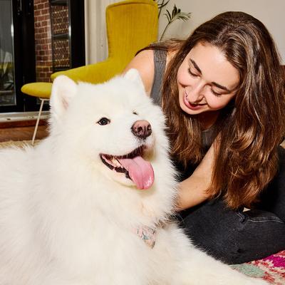 Show full view: Poke's Bac'n Me Crazy Training Bites Dog Treats, 6-oz bag slide 6 of 9