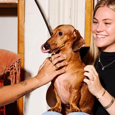 Show full view: Poke's Beef Liver Freeze-Dried Dog Treats, 3-oz bag slide 7 of 9